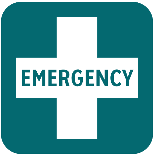 Emergency & ICU Services
